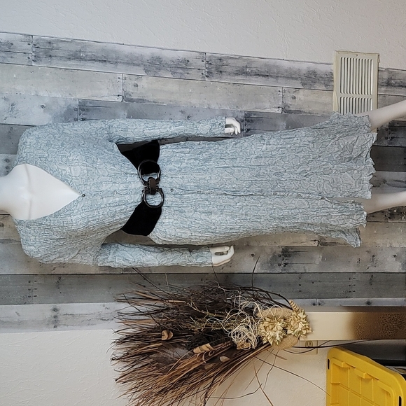 Zara Semi Sheer Wrinkled Button Down Dress - Picture 8 of 16